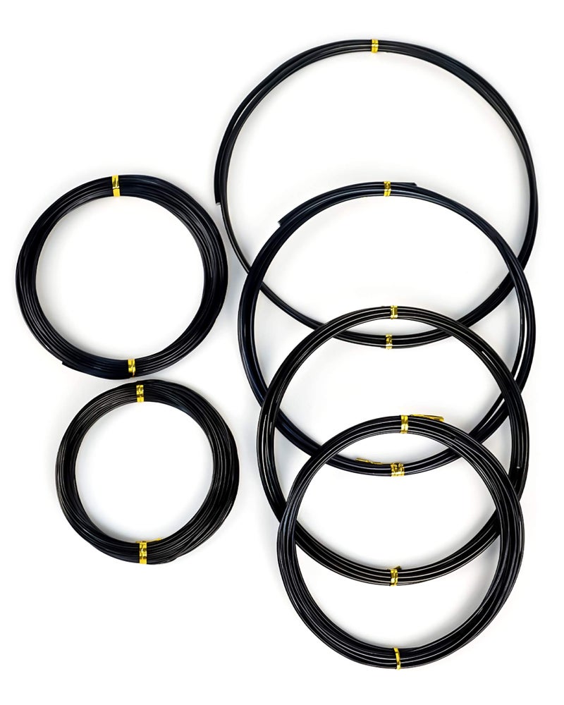 MoHern 6Pcs Bonsai Wire, 6 Sizes of 1mm, 1.5mm, 2mm, 2.5mm, 3mm, 4mm Black Aluminum Wire, Total 152 Feet Bonsai Tool Kitfor Bonzai Trees Indoor - Image 1